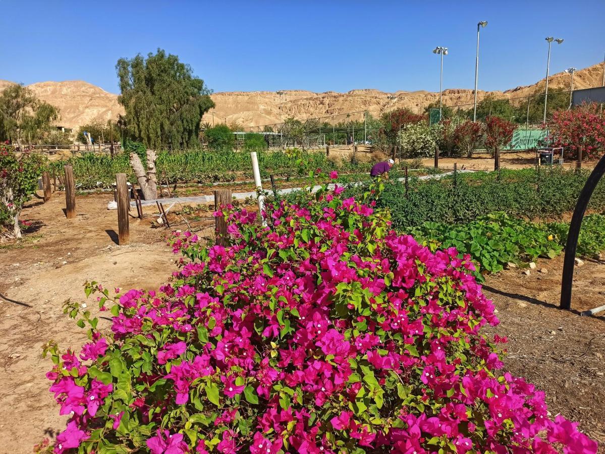 Kibbutz Ketura Guest House Nahal Ya'alon Exterior photo